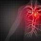 Inflammation & CVD: Understanding the Relationship